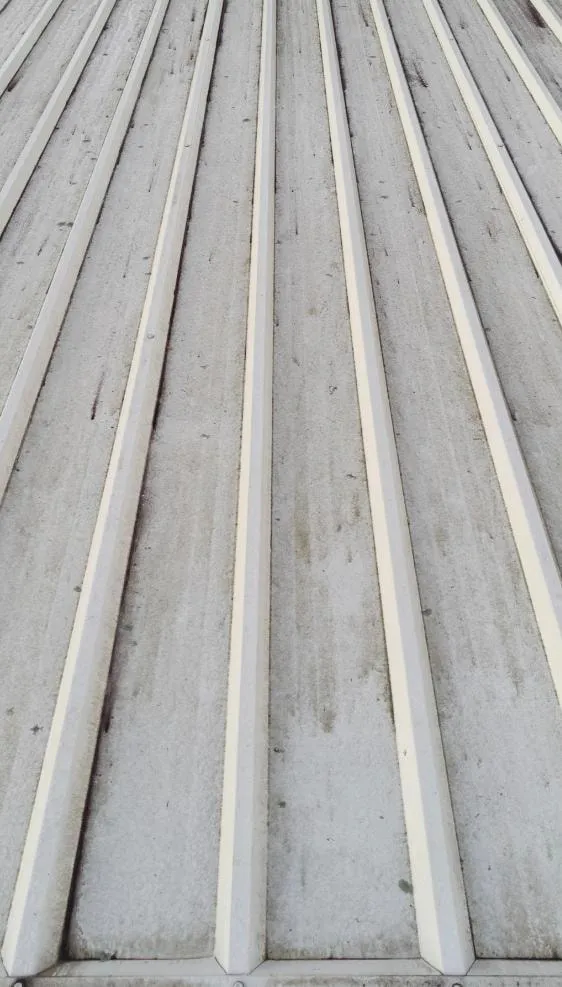Metal roof — before