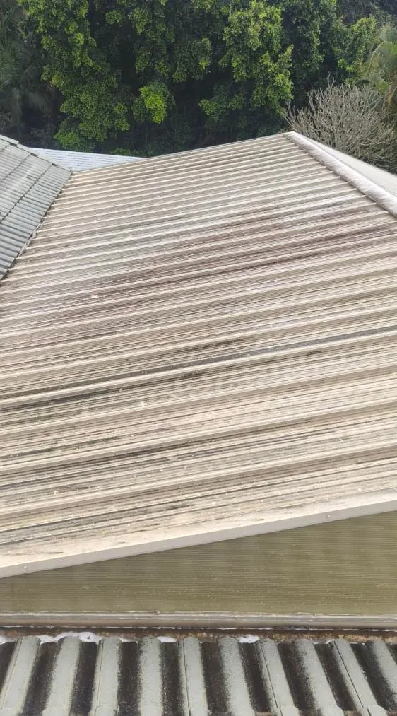 Metal roof — before