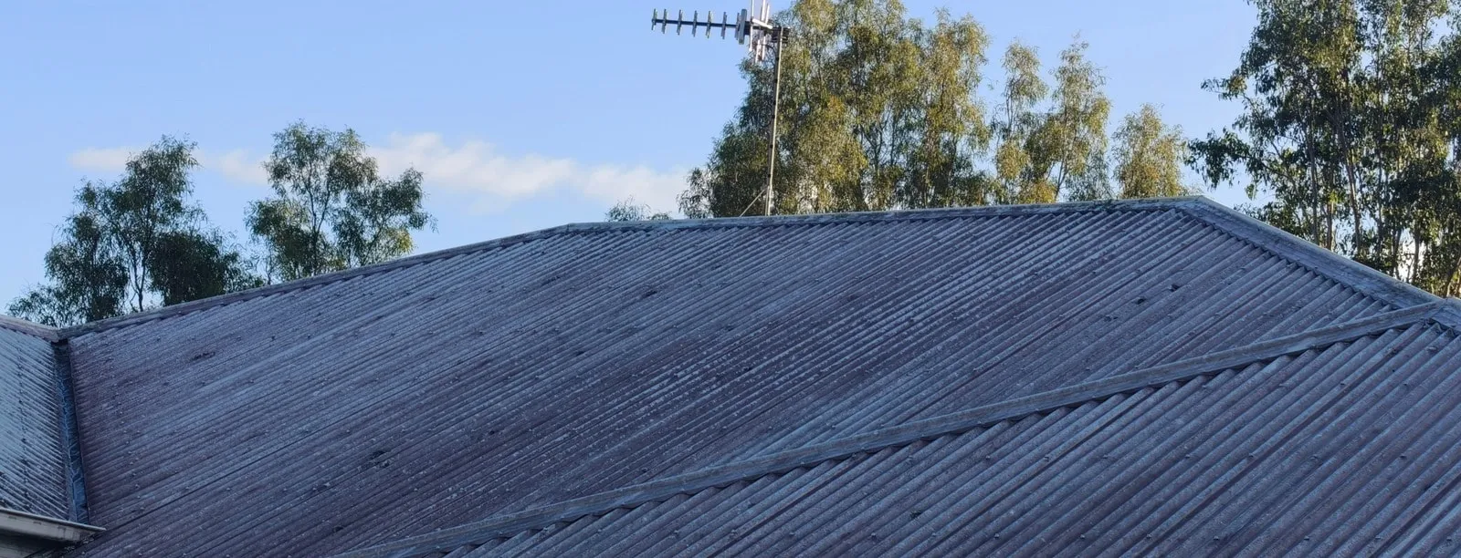 Roof soft wash — before