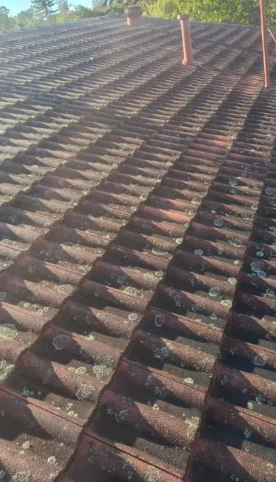 Tile roof — before